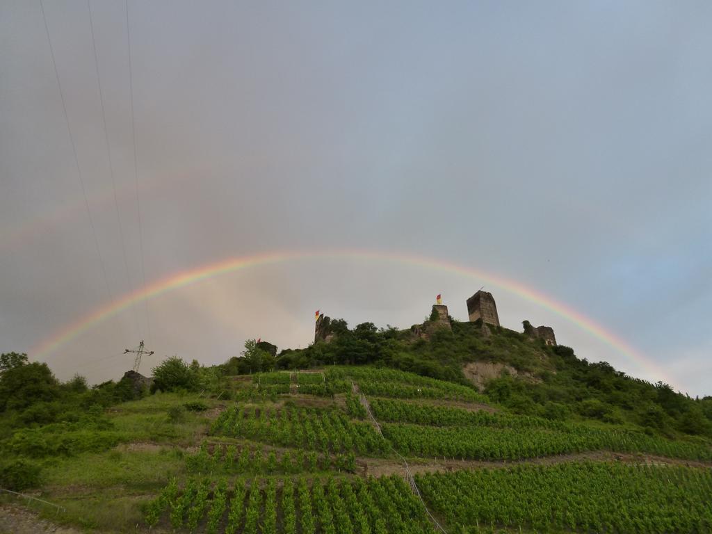Hotel Haus Burg Metternich Beilstein  Exteriör bild